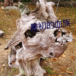 最初的(的)血族