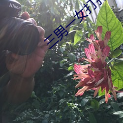 三男一女打扑克