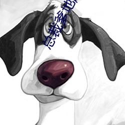 金年会(中国)官方网站