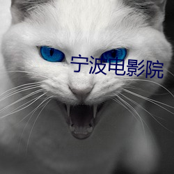 金年会(中国)官方网站