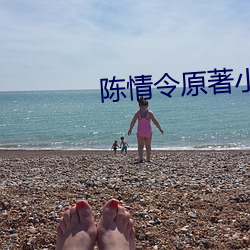 陈情令原著小说