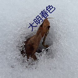 大明春色