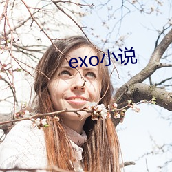 exo小說