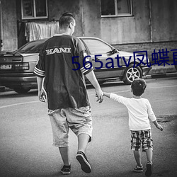 565atv凤蝶直播(播)app