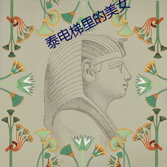 泰(tài)电梯里(lǐ)的美女(nǚ)