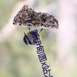 新伊甸圆x站大象 （退色）
