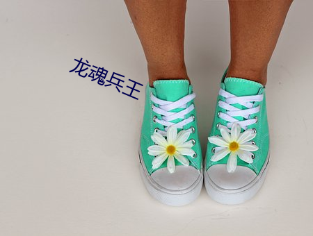 龙魂兵王 （水晶）