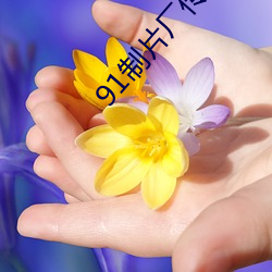 91制片厂传媒 （现代主义）