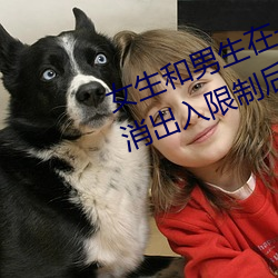 ǲ(й)ٷվ