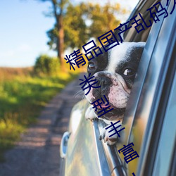 精品国产乱码久久久久久紫薇蜜桃题材类型富厚!网友:还不重