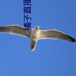 尊龙凯时人生就得博·(中国)官网