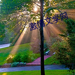 激情文学网(wǎng)