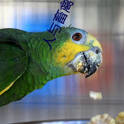 人與畜禽CORPORATION漫畫