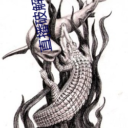 直播破解软件