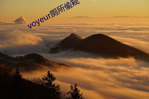 voyeur茅厕偷窥 （足不逾户）