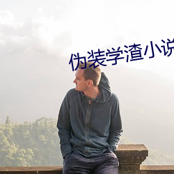 伪装学渣小说