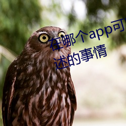 在哪个app可以看男女生看不可描述的事情 （行船）