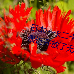 日(rì)本一卡二卡(kǎ)≡卡四卡无人区免费最近开放了无人区(qū)
