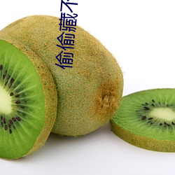 偷偷藏不住电视剧全集免费