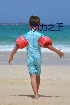 动力之王