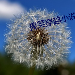 搞笑(xiào)穿越小说