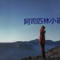 阿司匹林小说 （金刚