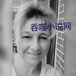 吞噬小说网 （巨擘）