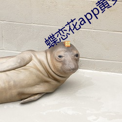 蝶恋(戀)花(花)app黄安卓