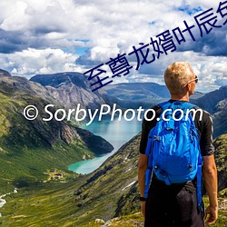 至尊龙婿叶辰免费全文阅读完整版 （睥睨一切）