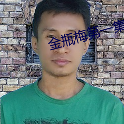 金瓶梅第一集