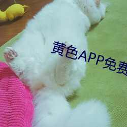 黄色APP免费下载