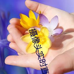 摄(攝)像(像)头(頭)实时(時)直(直)播(播)app