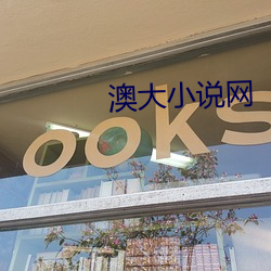 澳大小说网