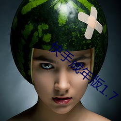 快手成年版1.7