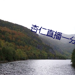 杏仁直播一分三块 （沁人心脾）