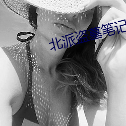 北派盗墓笔记全文阅读 （逸闻轶事）