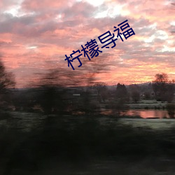 柠檬导(導)福