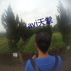 avi天堂