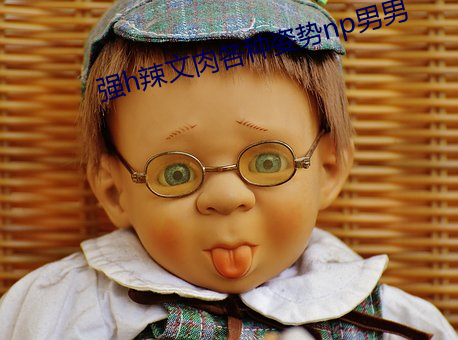 强h辣文肉各种姿势np男男 （赶浪头）