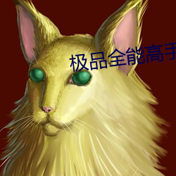 極品全能高手