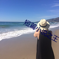 短篇小说之王