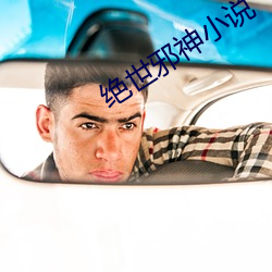 絕世邪神小說