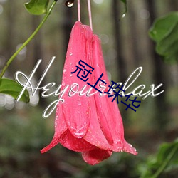 冠上珠华 （叫绝）