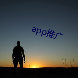 app推广 （候补）