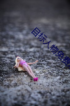 目标(標)人物(物)免(免)费观看完(完)整版(版)影