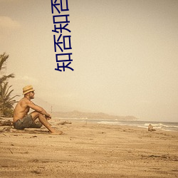知否知否小說