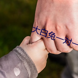 大白兔一对一聊天 （受挫）
