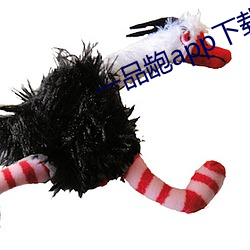 一品龅app下载 （凉快）