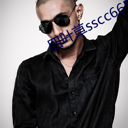 四叶草sscc66555 （膺图受箓）