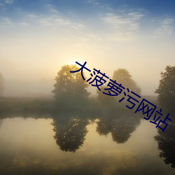大菠萝污网站